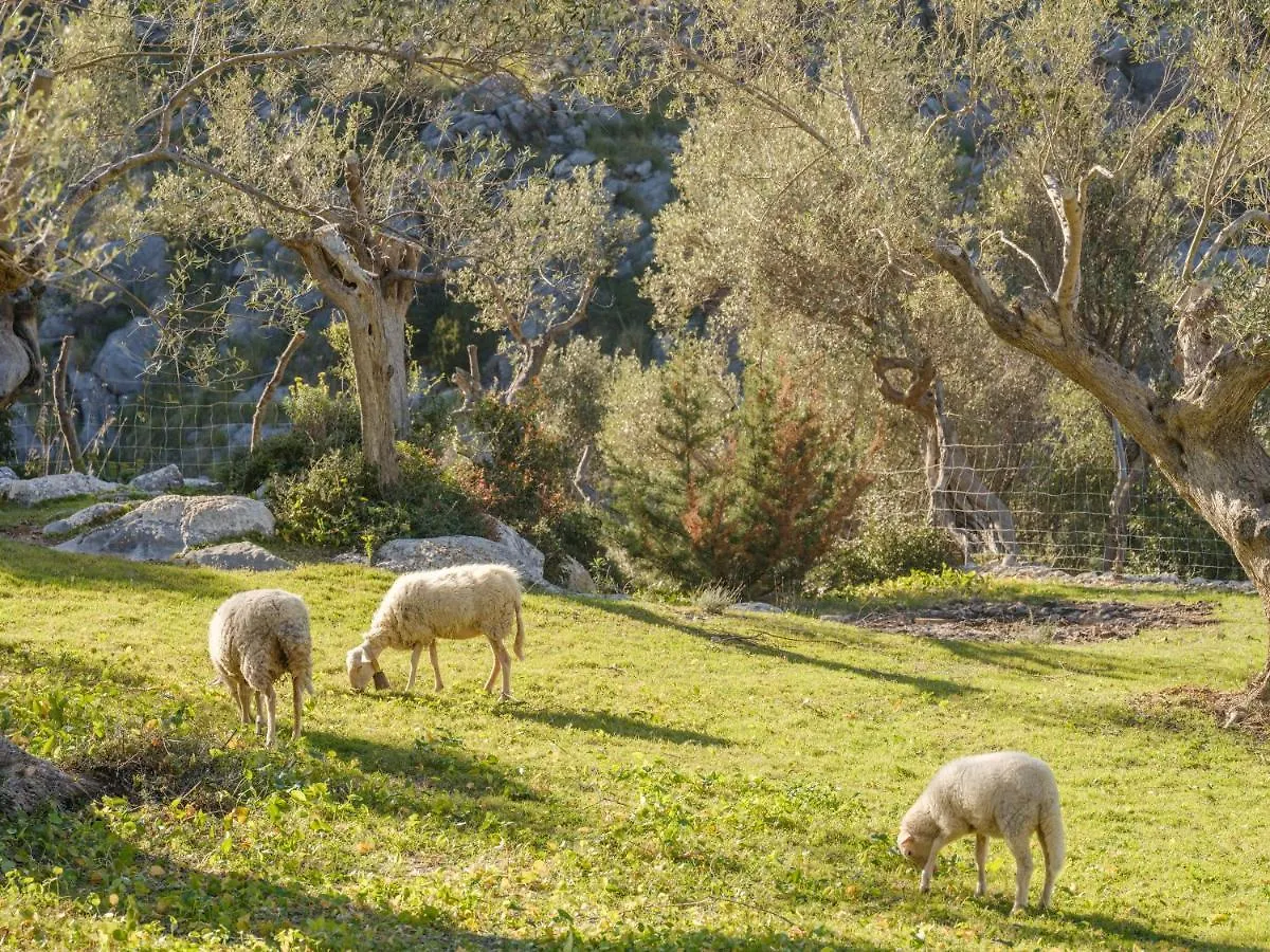 Agroturismo Muleta De Ca S'Hereu Puerto de Sóller 0*,