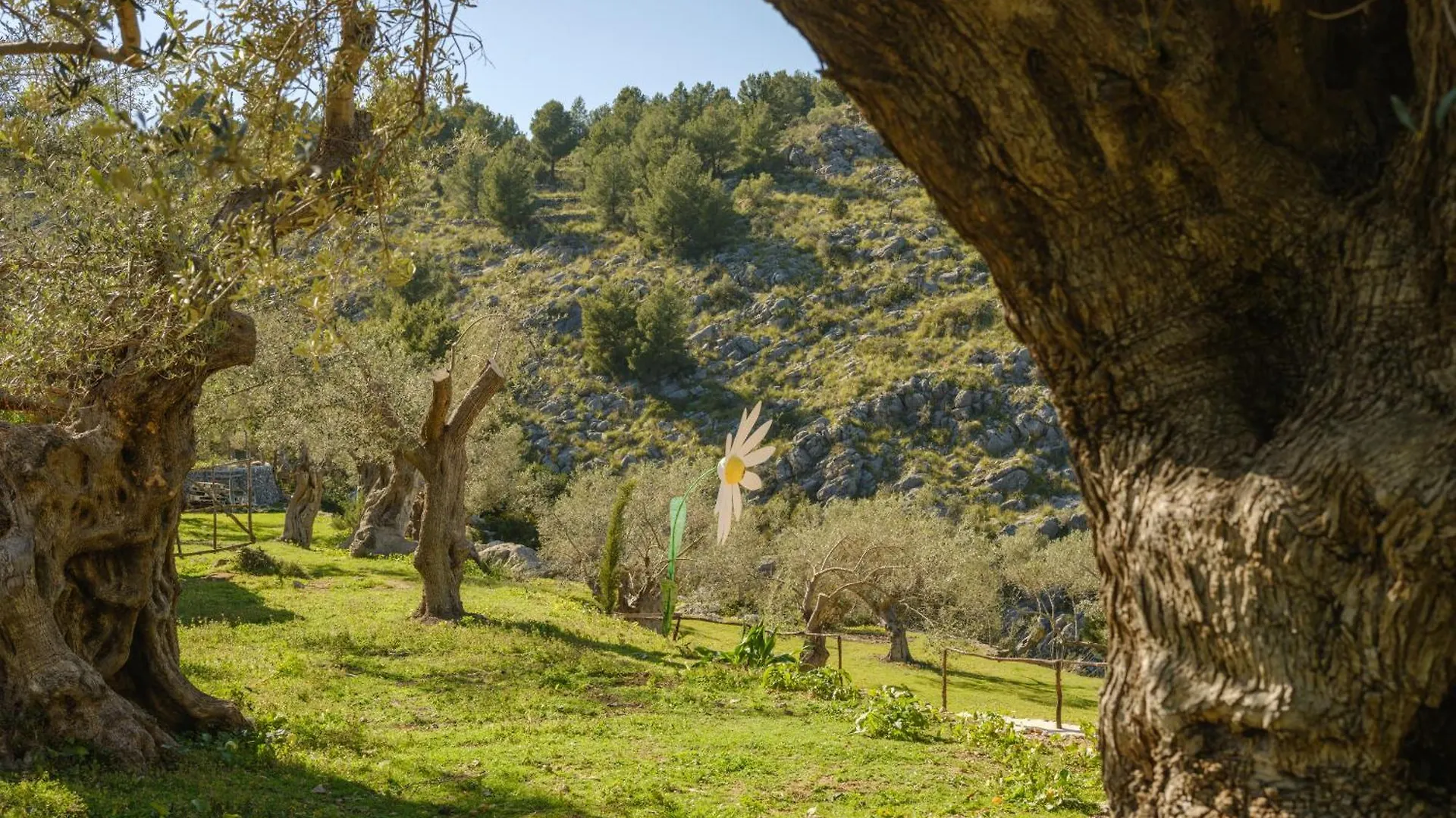 Agroturismo Muleta De Ca S'Hereu Port De Soller Spain